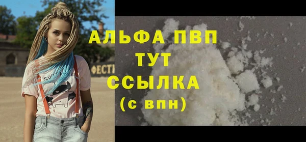 стаф Арсеньев