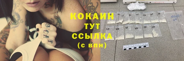 стаф Арсеньев