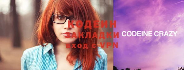 стаф Арсеньев