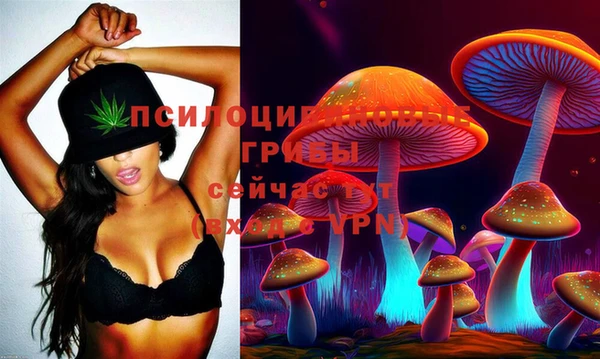 стаф Арсеньев