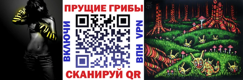 Галлюциногенные грибы Psilocybe  Калач-на-Дону 